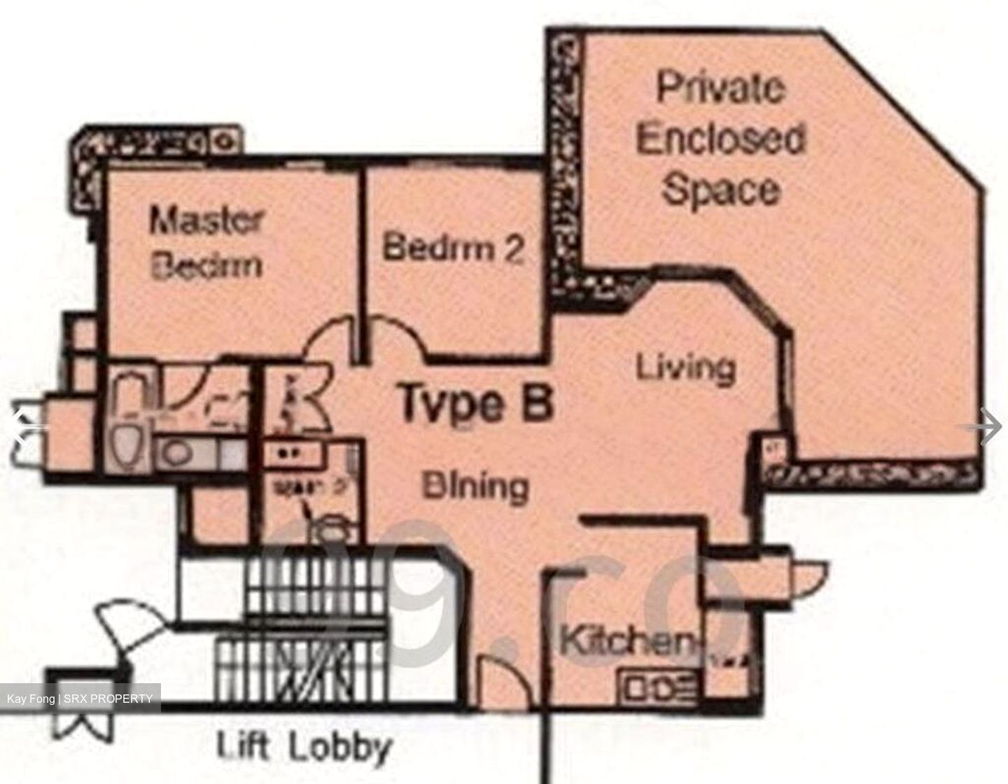 Evelyn Mansions (D11), Apartment #521183571
